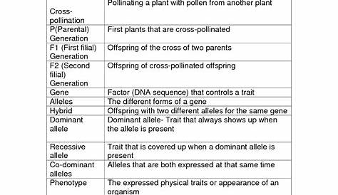 genetic worksheet answer key