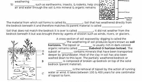 soil formation worksheets answers
