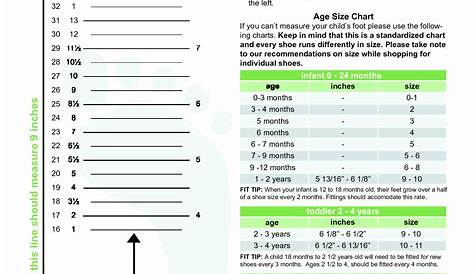 Foot Measurement Chart Printable Beautiful 28 Of toddler Foot Measurement Template in 2020