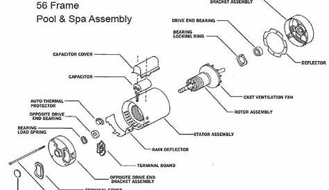 Understanding Pool Pump Motor Types - In The Swim Pool Blog