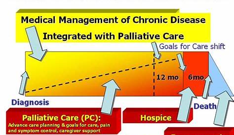Compassion and Support | End-of-Life and Palliative Care Planning