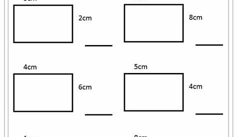 Work out the rectangle perimeter worksheet - | Area and perimeter worksheets, Perimeter