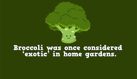 vegetable facts for kids