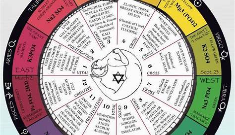 whole sign astrology chart