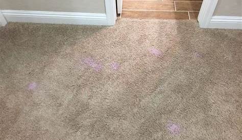 bleach stain carpet repair