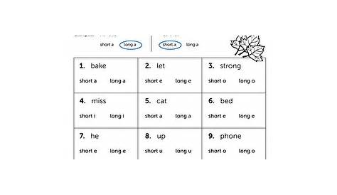 long vowel worksheet 3rd grade