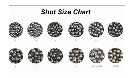20 Gauge Buckshot Size Chart - H&R 1871 Pardner Single Shot Youth Size