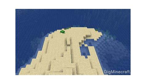 will turtles lay eggs in water in minecraft