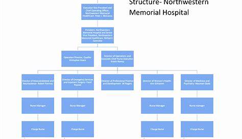 9 Hospital organizational Chart - SampleTemplatess - SampleTemplatess