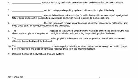 lymphatic system exercise worksheet answers