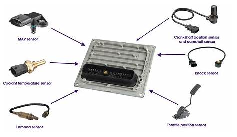 diagram of ecus in a car