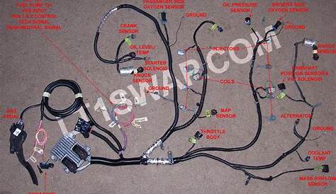 ls3 wiring harness diagram