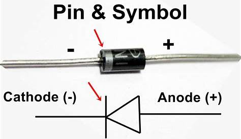 rectifier diode circuit symbol