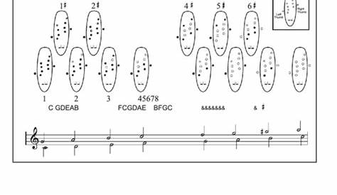 Fingering Chart For The Double Bass Ocarina printable pdf download