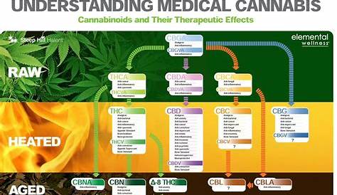 weed in system chart