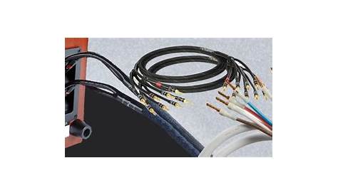 What are Bi-Wiring and Bi-Amping? What Are the Benefits of Bi-Wiring