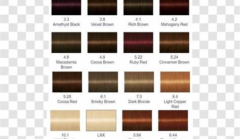 Hair Coloring Schwarzkopf Human Color - Chart Transparent PNG