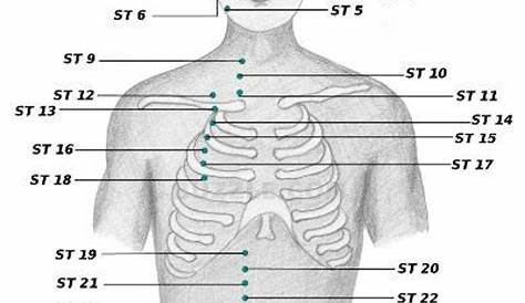 full body acupressure points chart