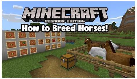 Simple Horse Breeding Tutorial-Minecraft - YouTube