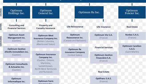 insurance agency organizational chart