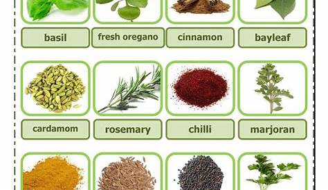 chart of herbs and spices and their uses