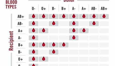 World Blood Donor Day – 8 Facts About Blood Donation
