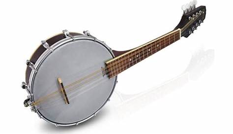 pylepro pbj60 5 string banjo owner's manual