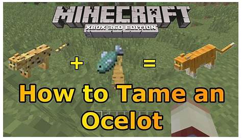 Minecraft Xbox 360: How to Tame an Ocelot! | TU12 is Out! - YouTube