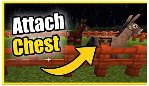 How to Attach a Chest to a Donkey, Mule or Llama in Minecraft (Horses