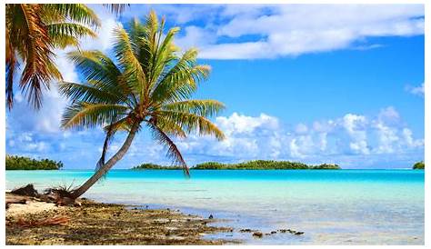 Beaches and Reefs of French Polynesia | Jacada Travel