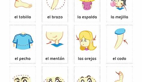 spanish flash cards printable