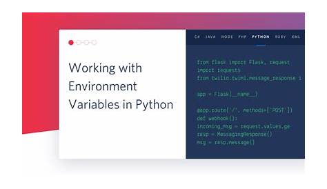 Working with Environment Variables in Python