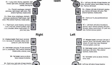 24 best teeth images on Pinterest | Beauty hacks, Beauty tips and