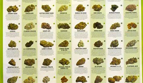 sizes of weed chart