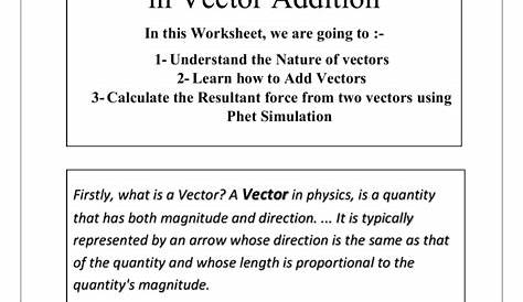 Vectors Worksheet