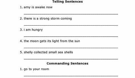 sentence writing practice worksheet