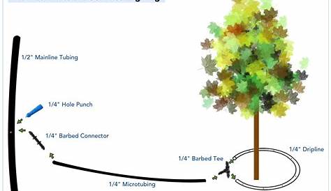 fruit tree watering chart