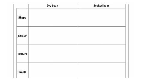 stages of seed germination worksheets