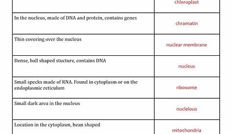 organelle functions chart answer key