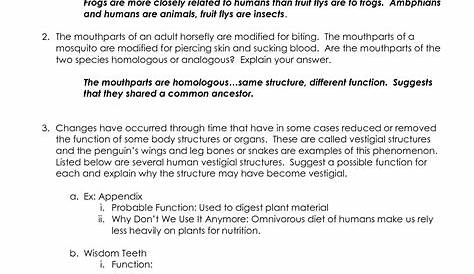evidence of evolution answer key pdf