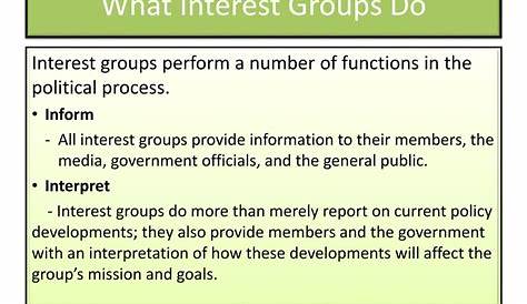 interest groups worksheets