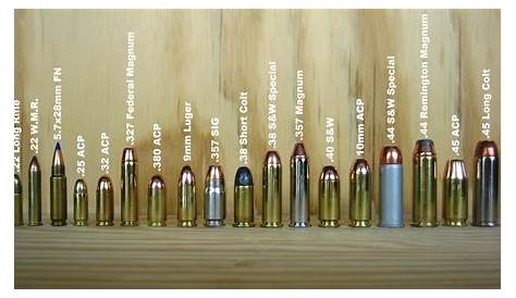 Shot Sizes in Shotgun Shells - The Guns and Gear Store