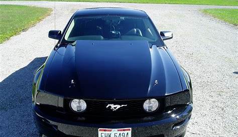 What are your favorite hoods? - Page 5 - Ford Mustang Forum
