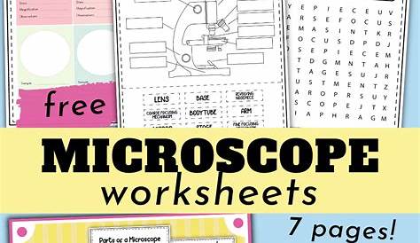 microscope worksheet 6th grade