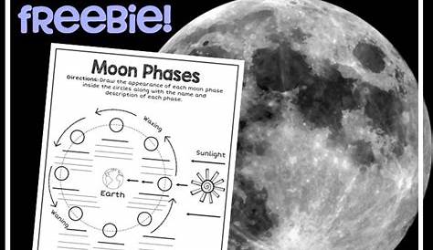 moon phases for 1st graders