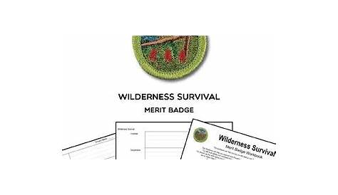 Merit Badge Worksheets And Requirements (PRINTABLE) Boy Scouts Merit