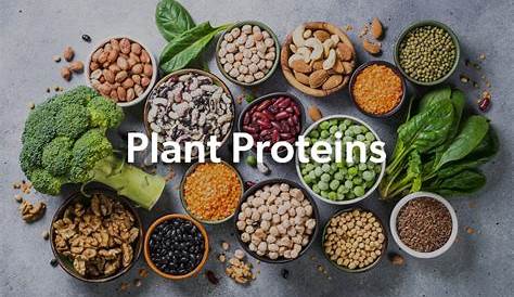 Complete Protein Combinations Chart for Vegans - Fit Vegan Guide