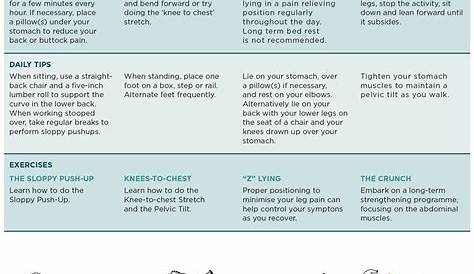 Back Pain Relief Guide | TBI Health