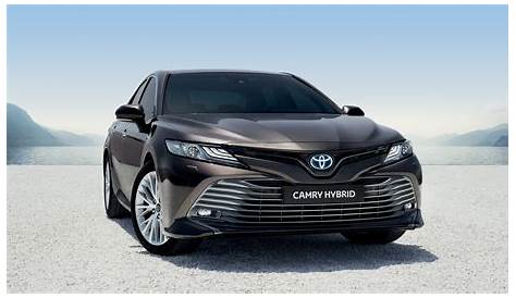 Cập nhật hơn 124 xe toyota camry 2019 mới nhất - Eteachers