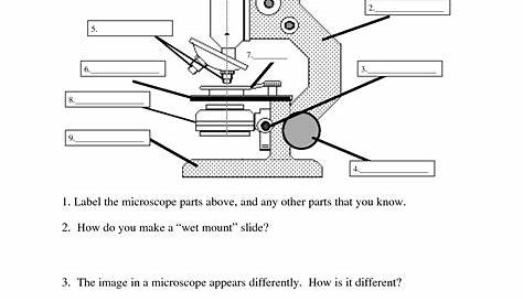 microscope label worksheet